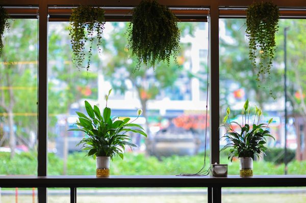 Cours d'arabe en ligne : immersion et flexibilité totale