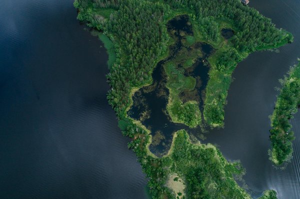 Explorez les innovations récentes en applications et logiciels – découvrez les nouvelles tendances technologiques